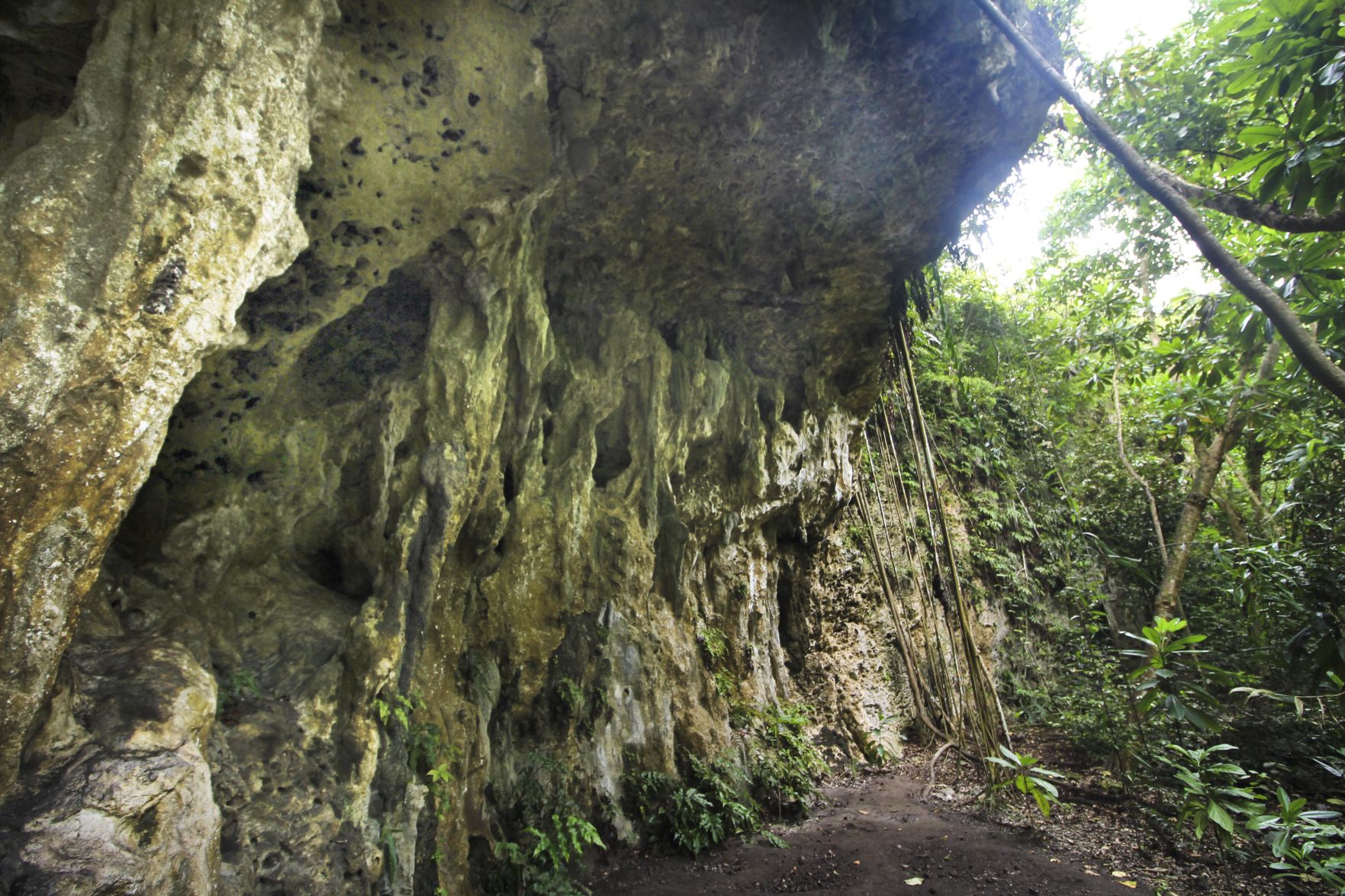 Limestone walls of Ritidian